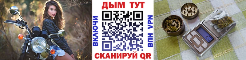 Бошки марихуана ГИДРОПОН  kraken сайт  Ардон 